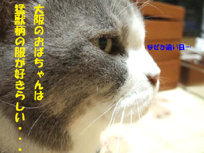 f0008935_23524723.gif