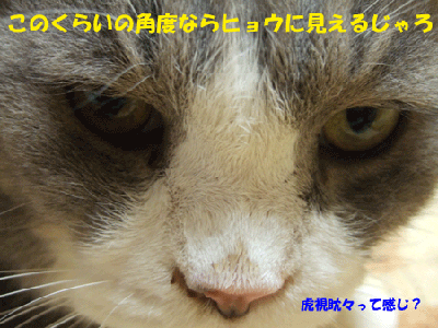 f0008935_23532097.gif