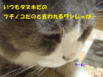 f0008935_235333.gif