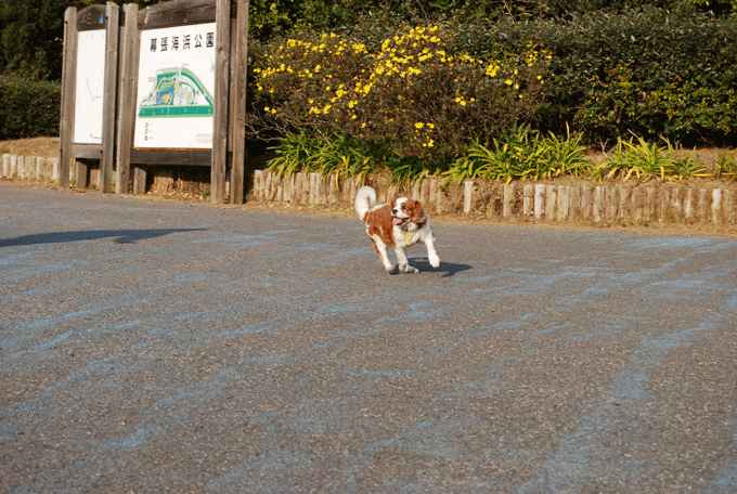 c0136838_231106.gif