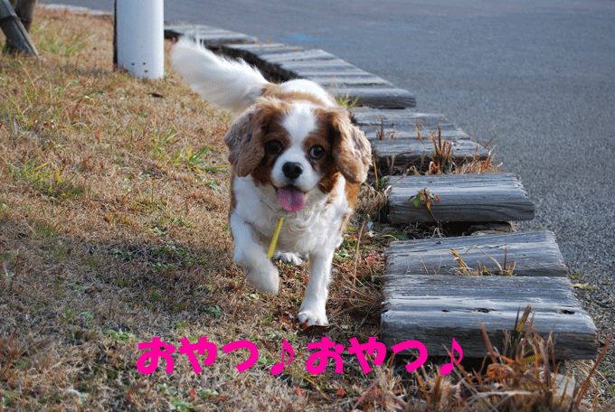 c0136838_23331828.gif