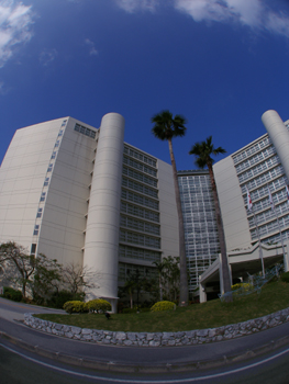 d0065247_15171288.jpg