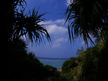 d0065247_15172887.jpg