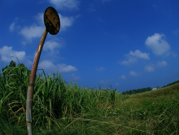 d0065247_15174195.jpg
