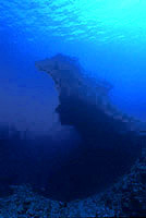 d0065247_1622513.jpg