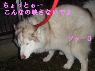 e0121548_0182287.jpg