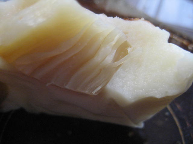 a0075455_8462842.jpg