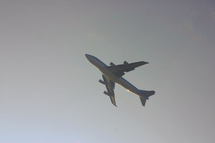 d0079373_015318.jpg