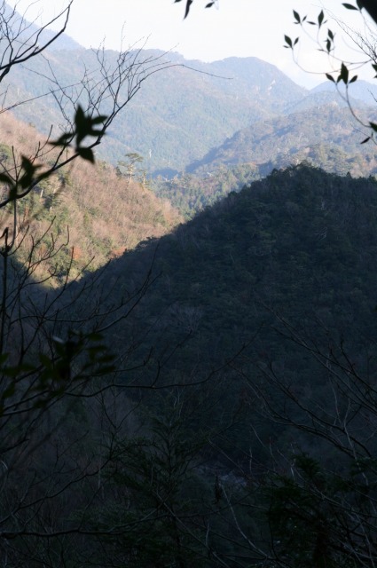 d0079278_21153872.jpg