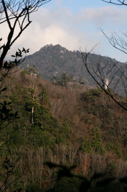 d0079278_2116293.jpg