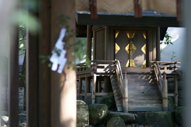 d0079278_8432931.jpg
