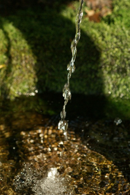 d0079278_8442525.jpg