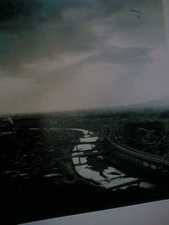 f0100480_20323711.jpg