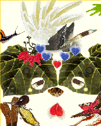 b0028100_2262056.gif
