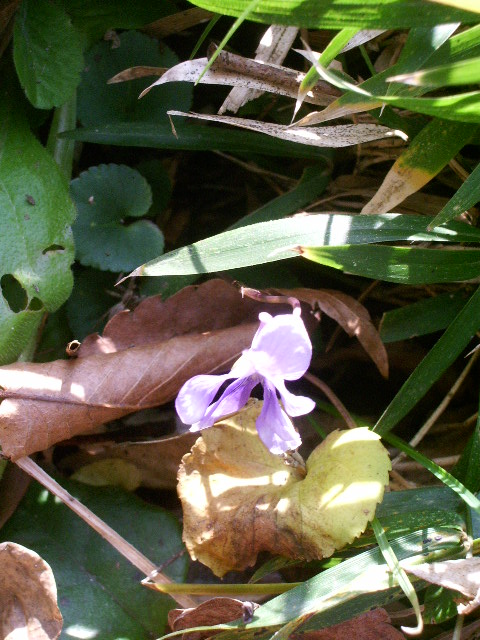 e0025300_12202081.jpg