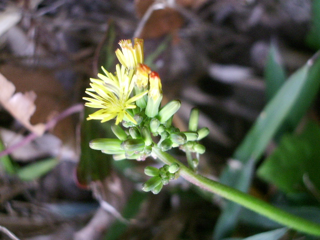 e0025300_1223119.jpg