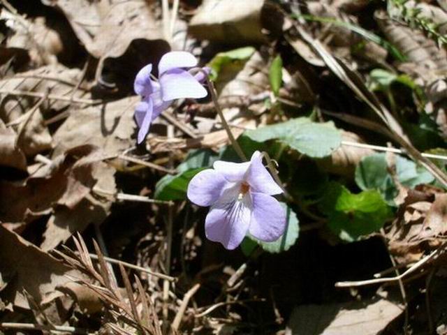 e0025300_12412186.jpg