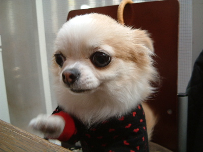 a0079803_19204686.jpg