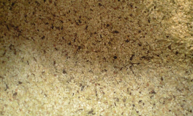 d0000607_19361436.jpg