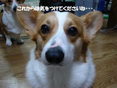c0153410_22414575.jpg