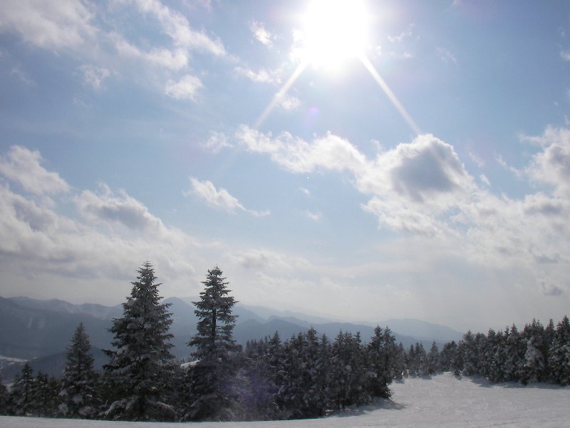 f0054610_2091958.jpg