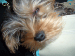 c0143711_2218235.gif