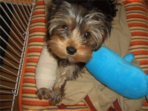 c0143711_2218918.gif