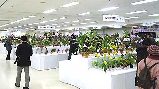 b0016219_13395665.jpg