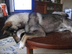 f0143123_1581338.jpg