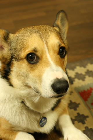 e0071225_1710451.jpg