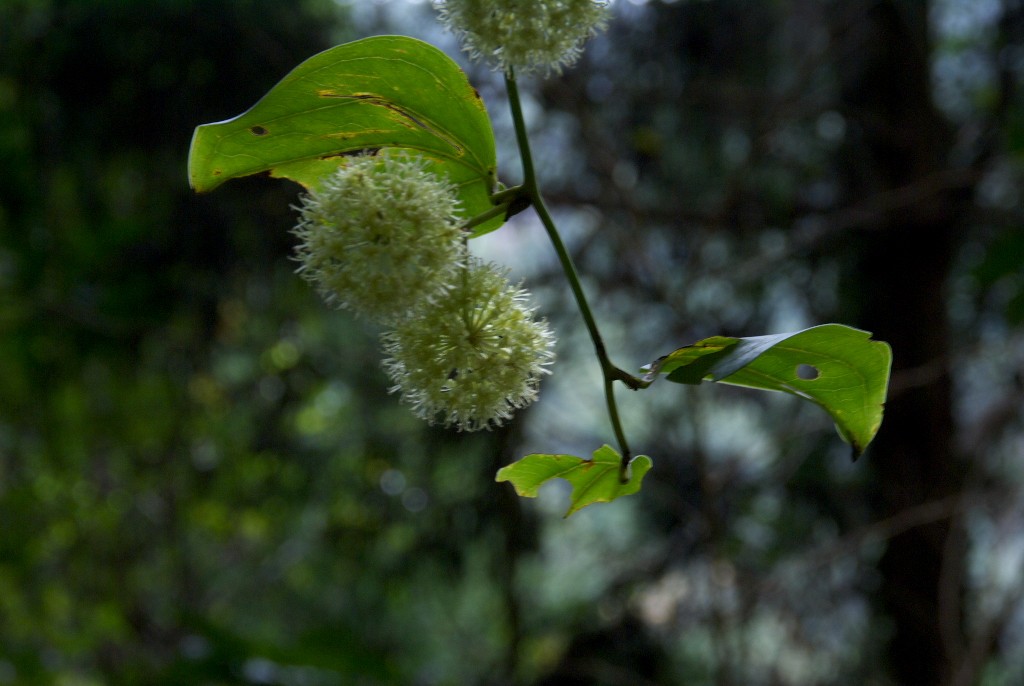 d0053930_17121377.jpg