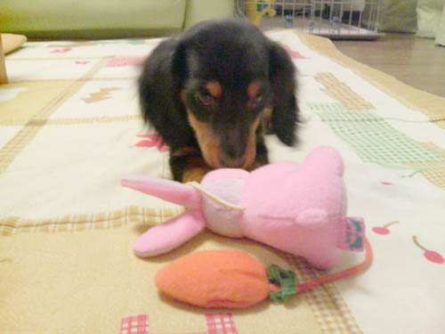 c0117831_20132473.jpg