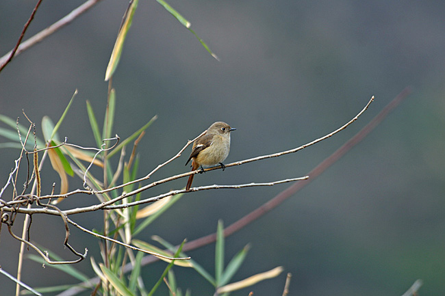 e0066638_1452370.jpg