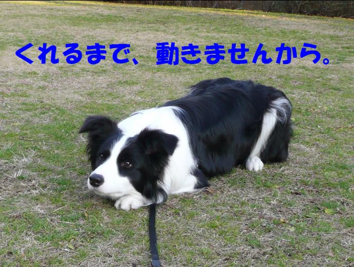c0147241_14504982.jpg