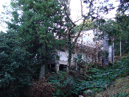 e0111346_2124252.jpg