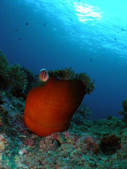 d0065247_21502999.jpg