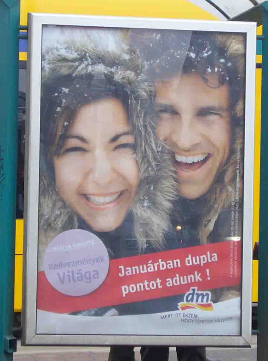 a0100049_843178.jpg