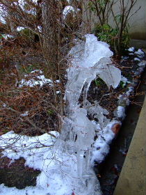e0088654_12241016.jpg