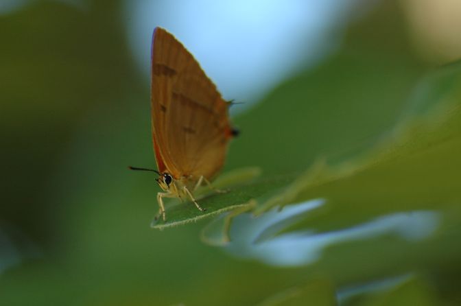 d0098057_7235839.jpg