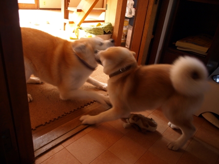 f0047870_0263352.jpg