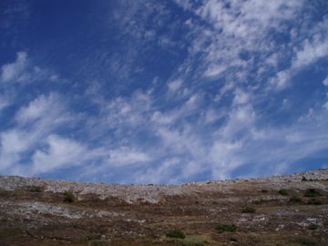 e0114371_14591058.jpg