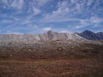 e0114371_16193399.jpg