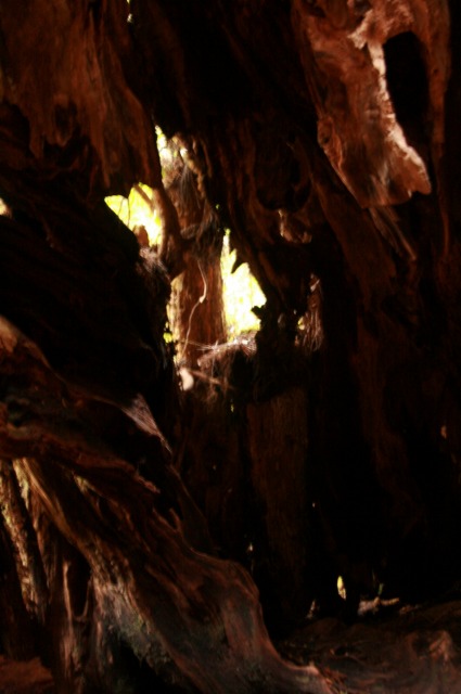 d0079278_1956970.jpg