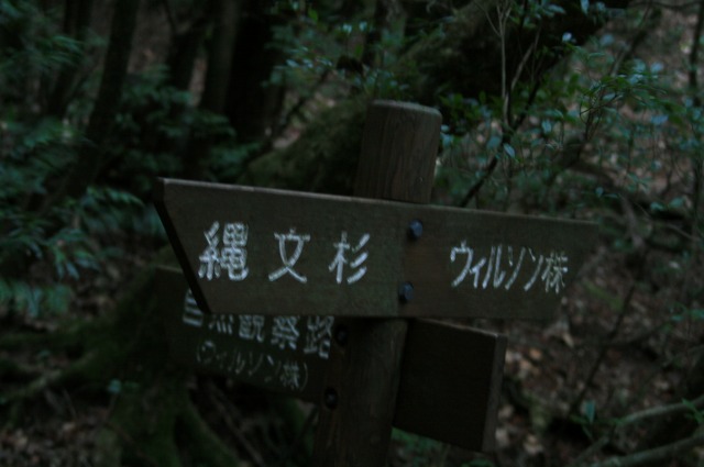 d0079278_2051297.jpg