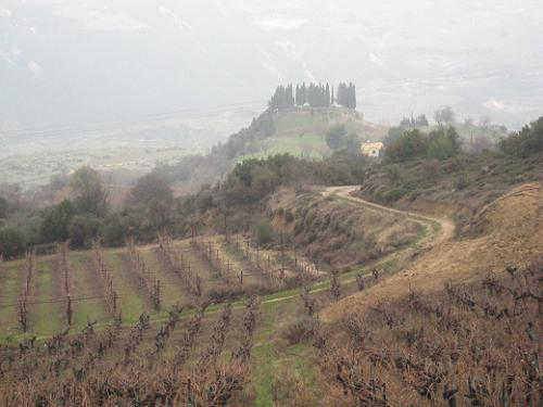 c0010496_1445563.jpg