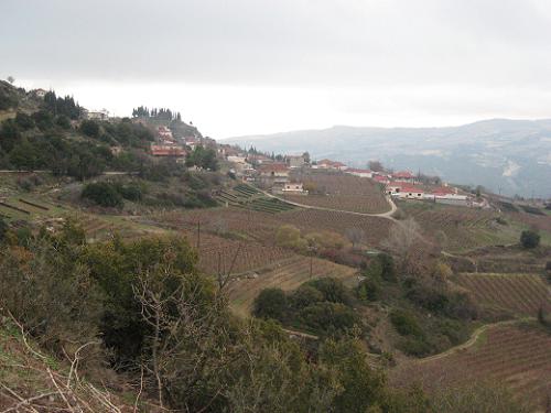 c0010496_213430.jpg