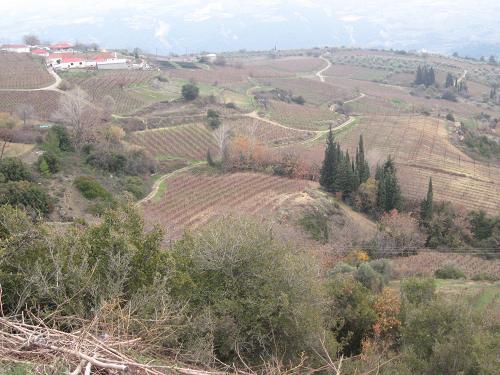 c0010496_22428.jpg
