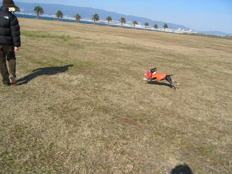 c0092097_1214971.jpg