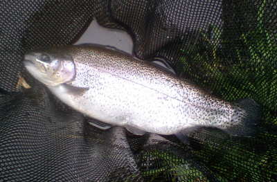 d0026200_21225322.jpg