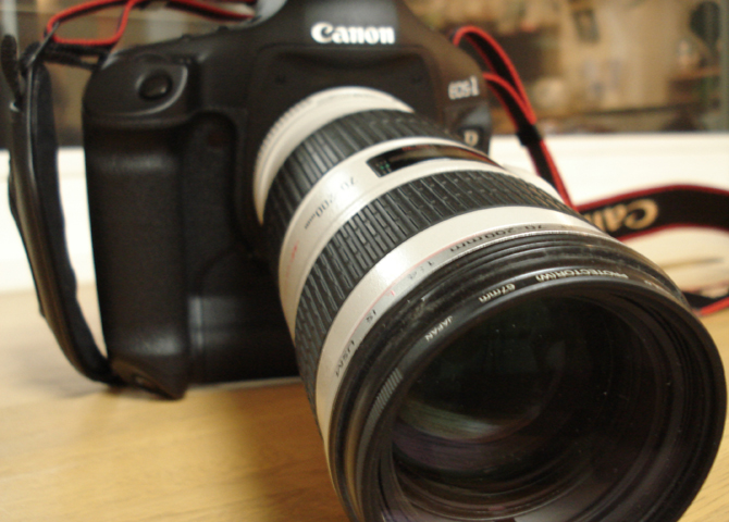 a0050802_1831949.jpg